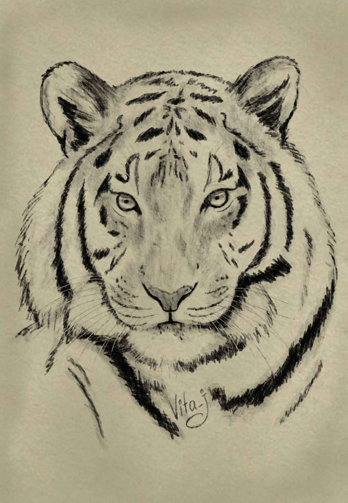 However, living creature #3 - Tiger and Bear - My, Digital drawing, Photoshop, Animals, The Bears, Tiger, Drawing, Longpost