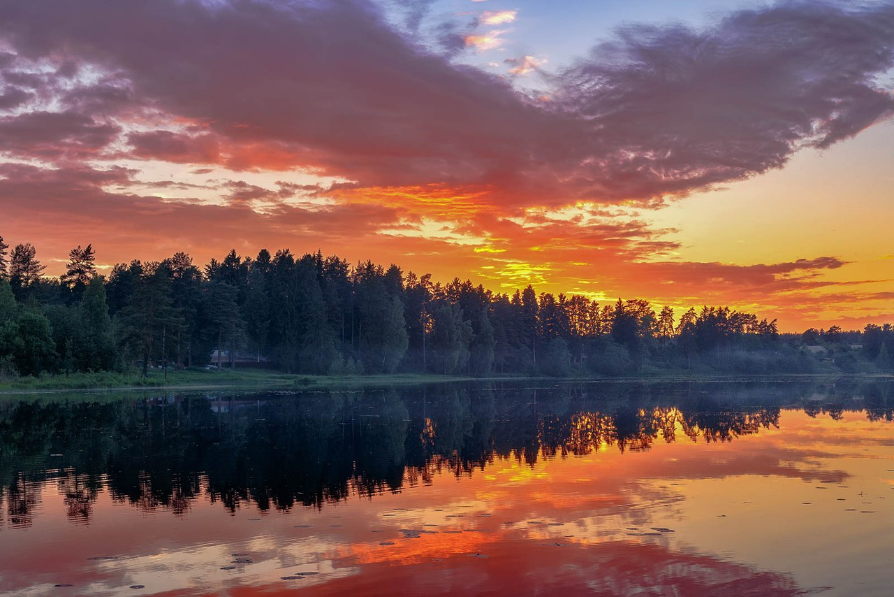 Leningrad region. - The photo, Nature, Leningrad region, Longpost