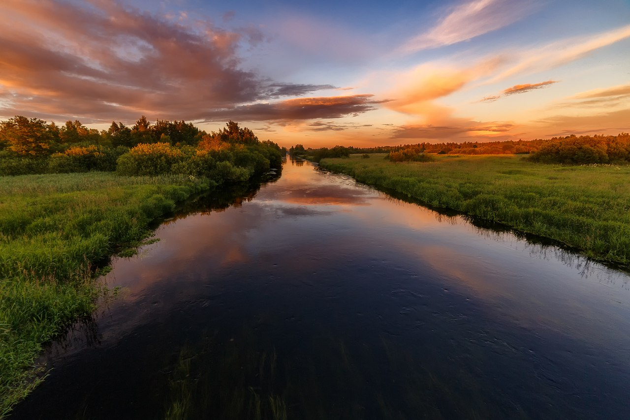 Leningrad region. - The photo, Nature, Leningrad region, Longpost