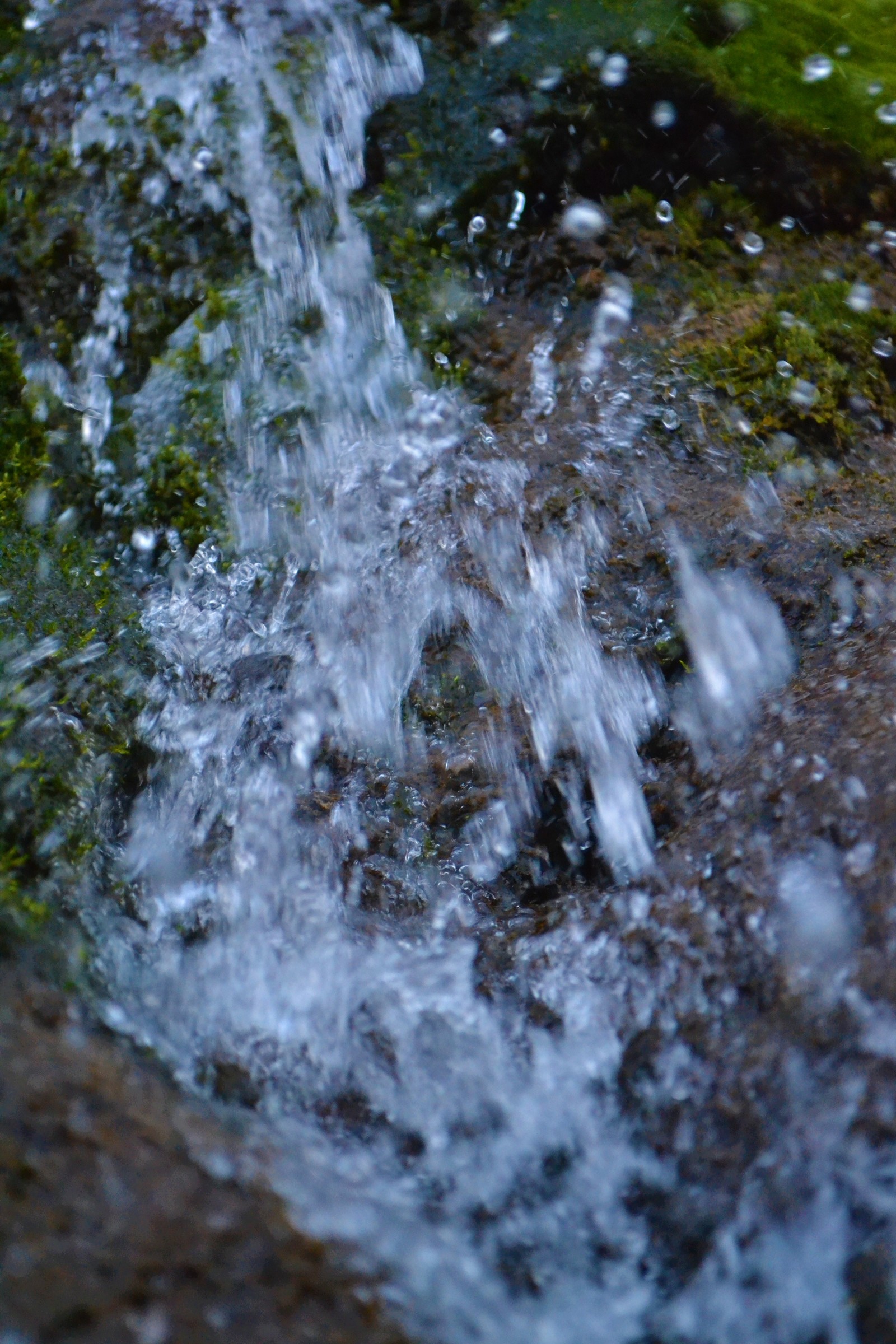 Spring is coming?? - My, Spring, Grass, Stream, Moss, Water, Longpost, Nature