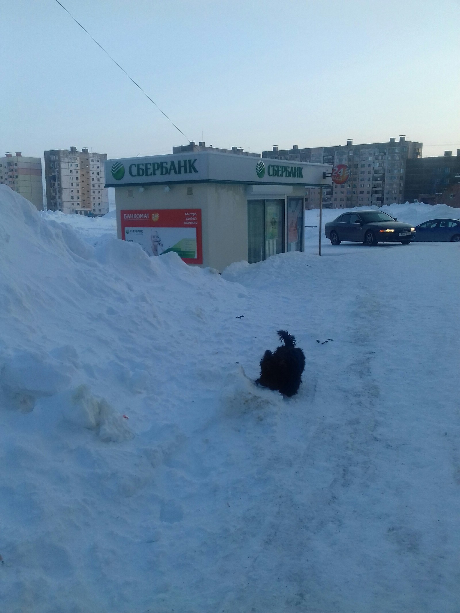 Поплывёт наверное когда потеплеет... - Моё, Банкомат, Услуги, Длиннопост