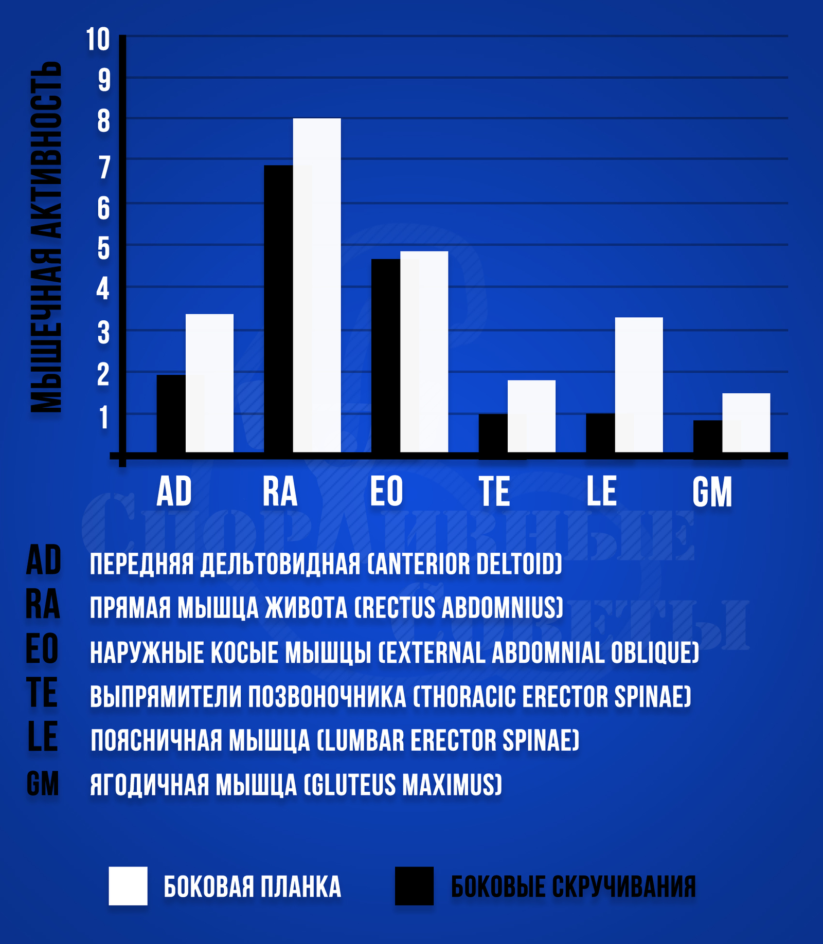 Plank crunches - My, Sport, Тренер, Sports Tips, Research, Plank, Press, Muscle, Gym, Longpost