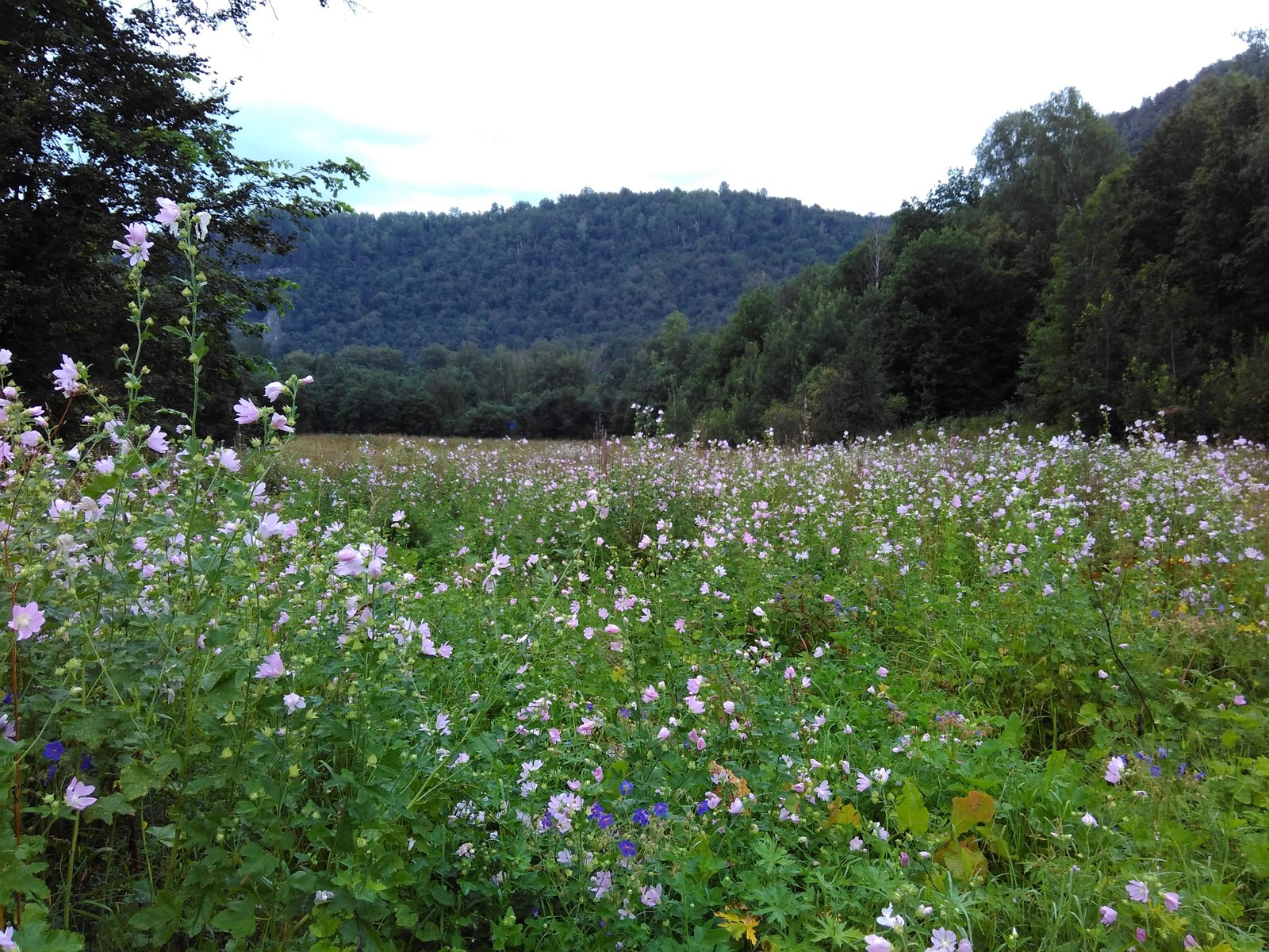 Fear has big eyes - My, Hike, Losers, Nature, Longpost