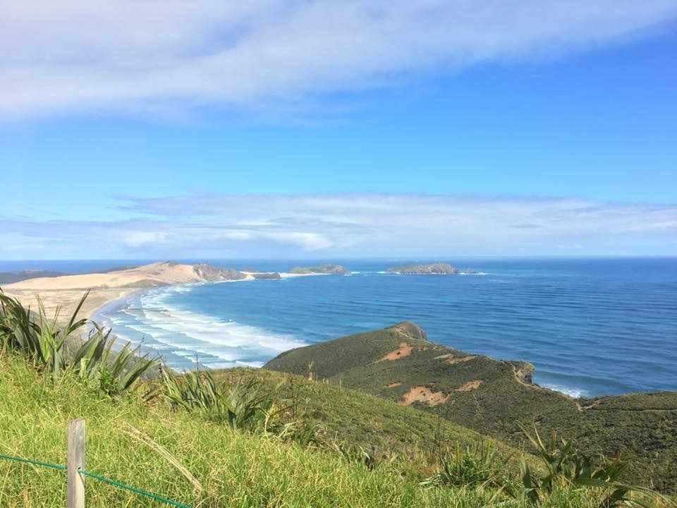 Need help . - My, Help, New Zealand, The strength of the Peekaboo, Longpost