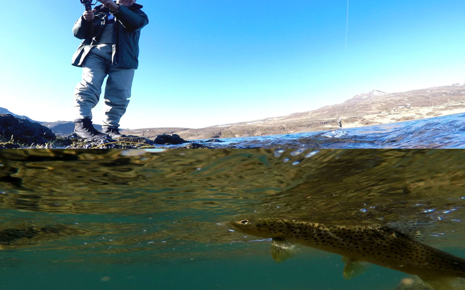 This is the fishing - My, Fishing, GoPRO, A fish