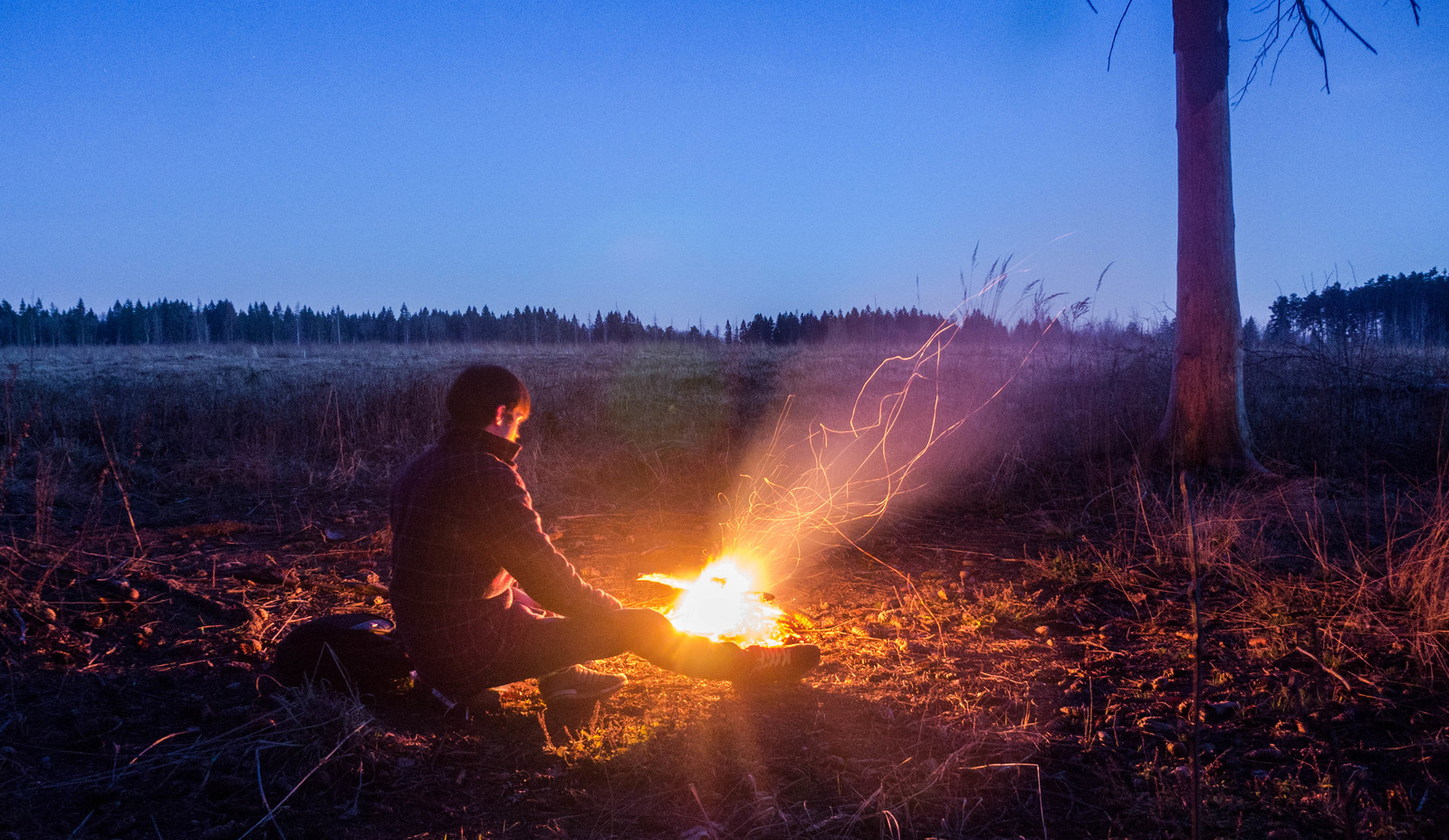 Evening. - My, Night, Forest, Bonfire