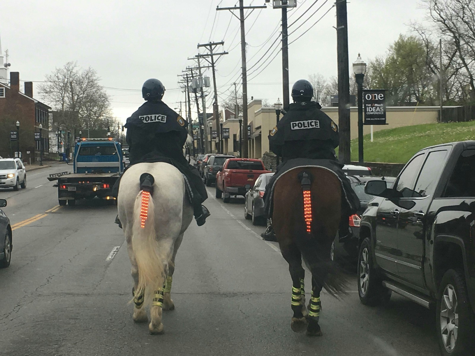 Police officers with reflective tails - Reddit, Images, Horses