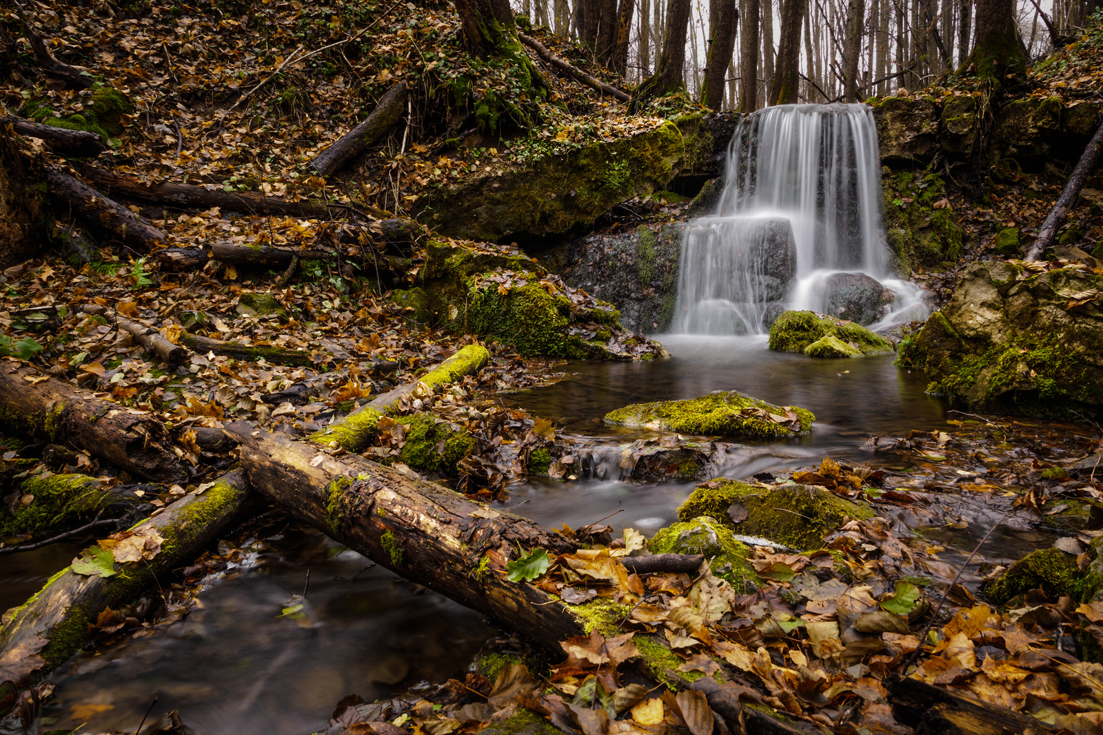 Nameless waterfall on a tributary of the Serena River - My, Waterfall, , Kaluga region, , Kaluga