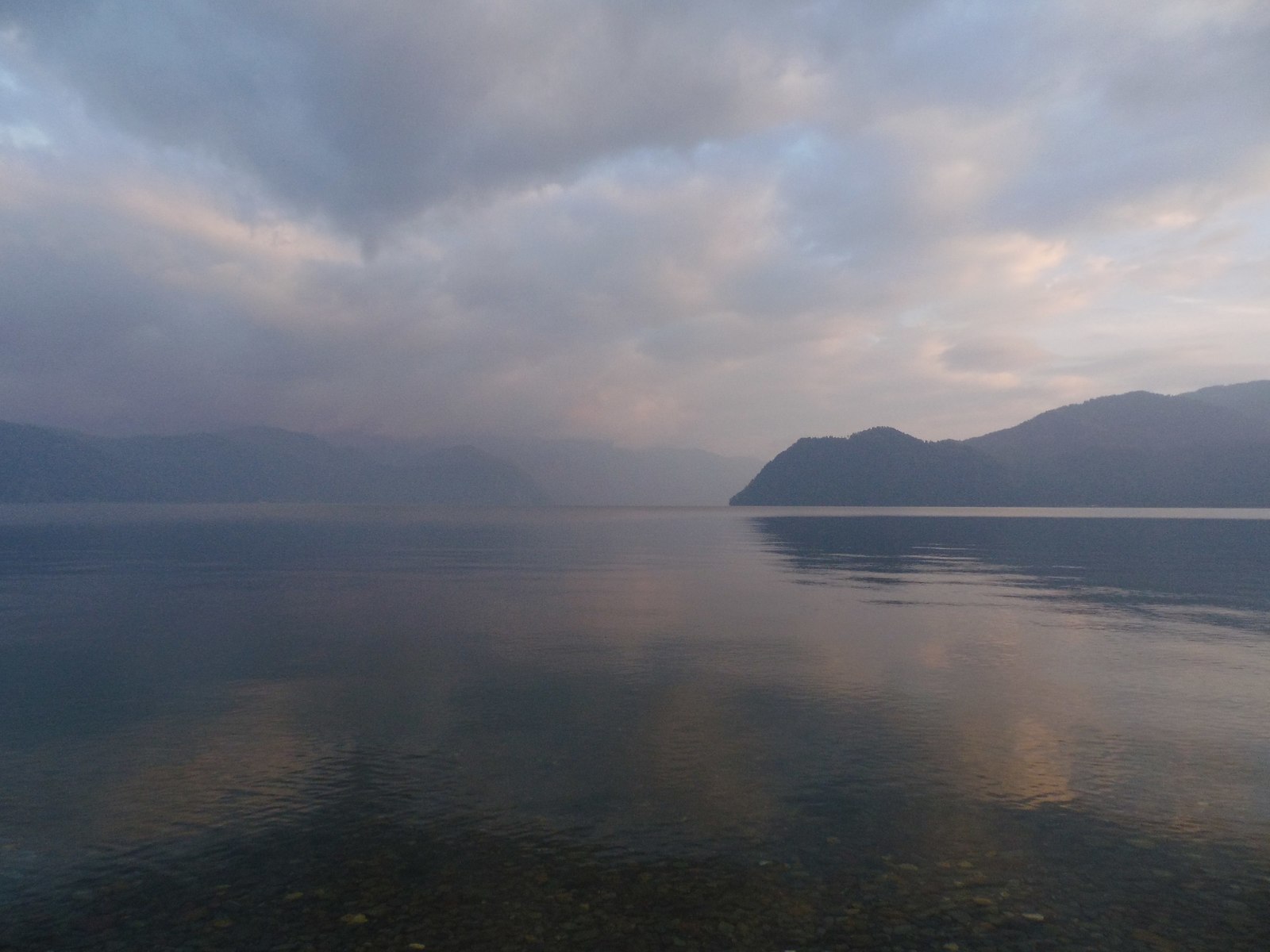 zombie flies) - My, Mountain Altai, , , Муха, Longpost, Altai Republic, Teletskoe lake