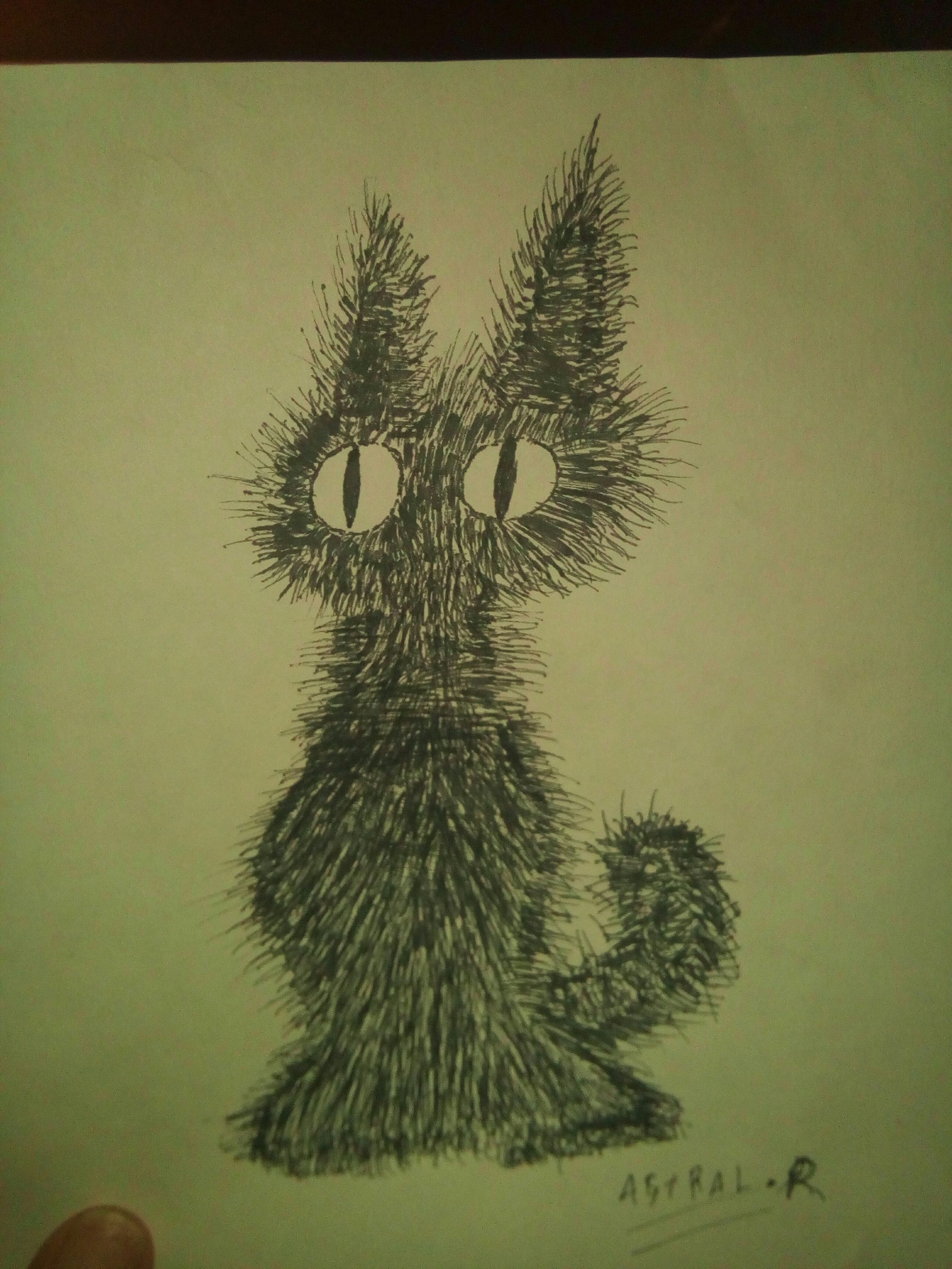 cartoon cat - My, cat, Pen drawing