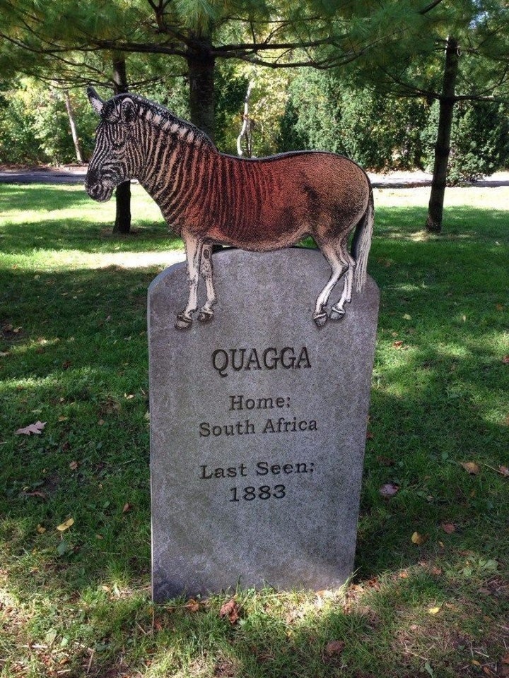 Eternal mute reminder to reasonable man. Carved in stone. Bronx Zoo, New York (USA). - From the network, In contact with, Nature, Extinct species, Longpost