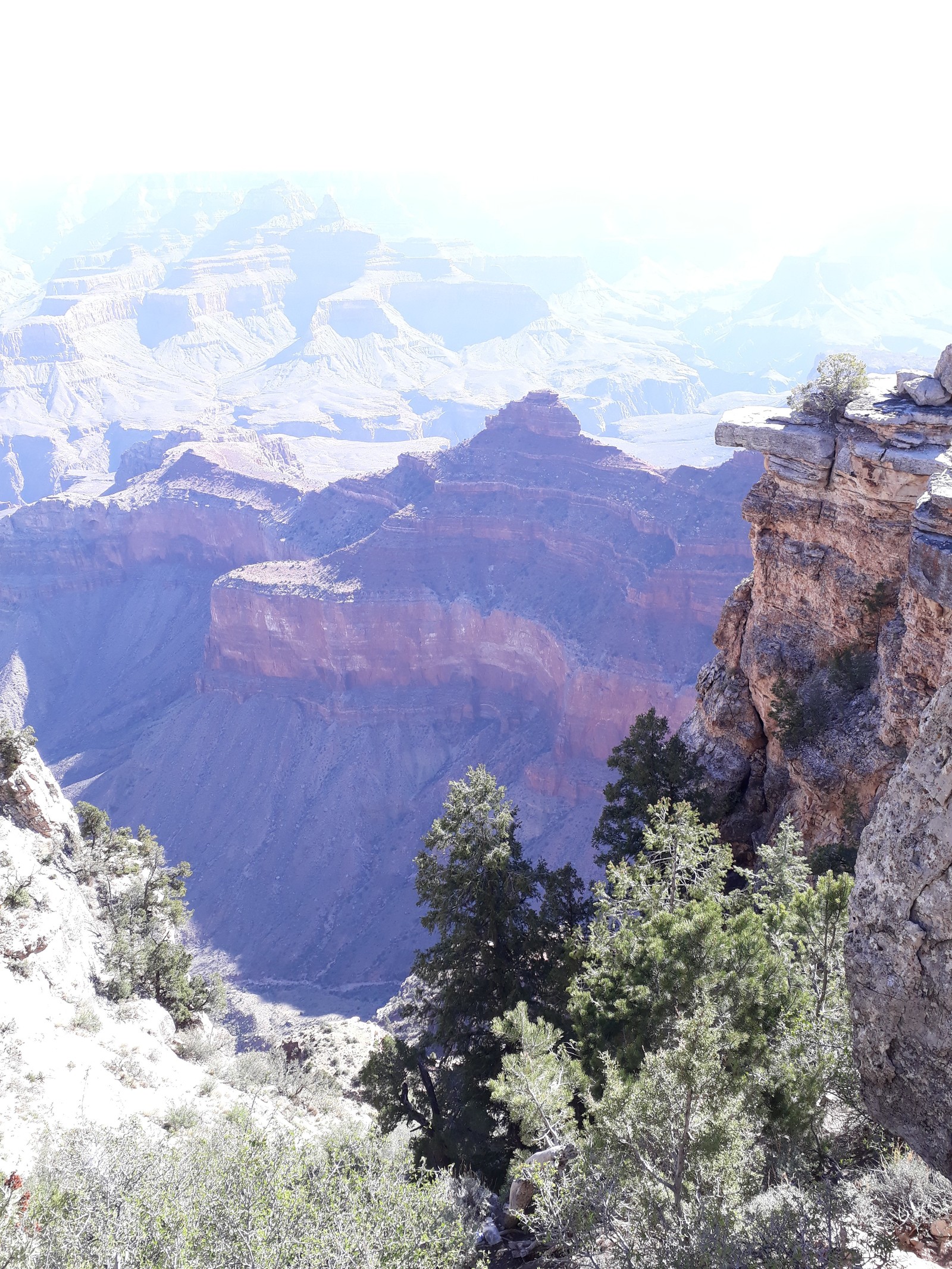 Squirrel and Grand Canyon - My, Travels, USA, Squirrel, Chipmunk, Nature, beauty, , Longpost