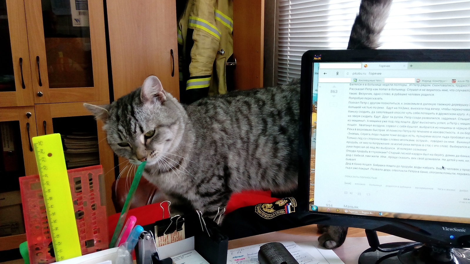 Masyanya firefighter - My, Fire Department Day, Masyanya the cat, cat