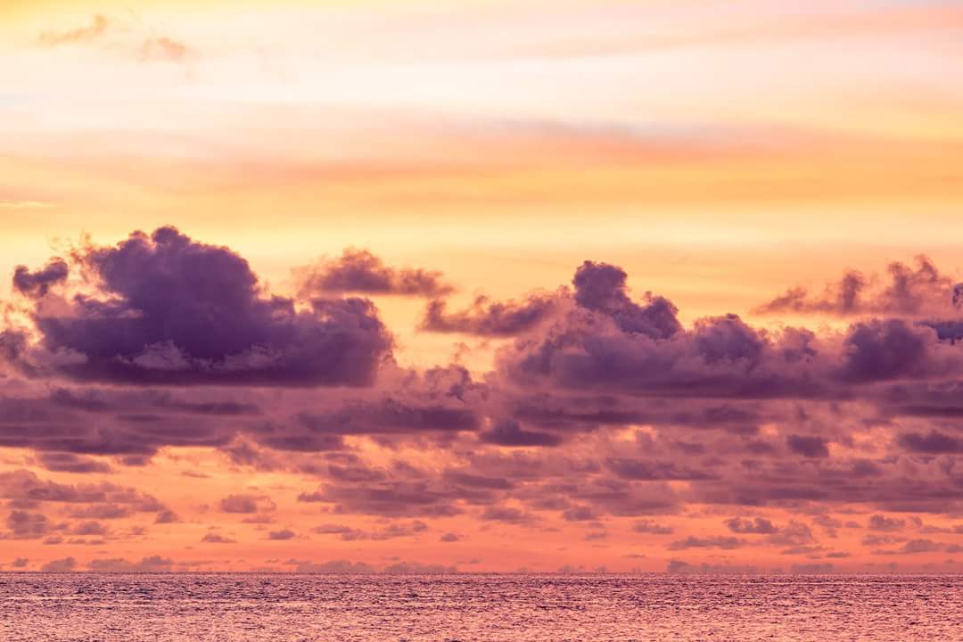 Maldives under and over water - My, The photo, Nature, Indian Ocean, Maldives, A fish, Longpost