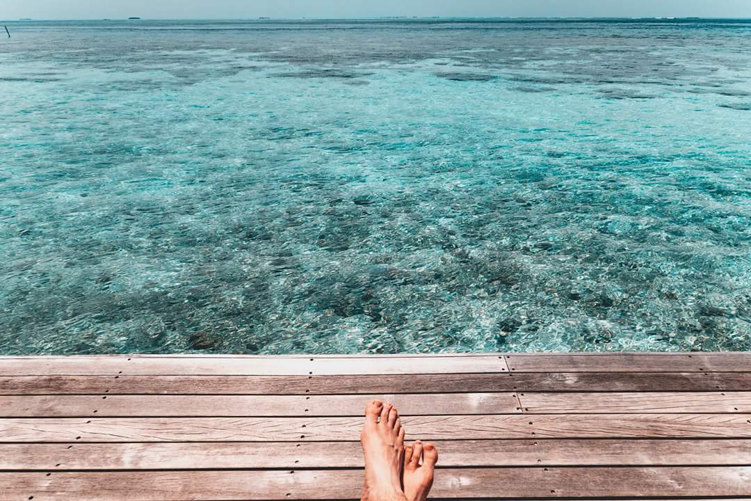 Maldives under and over water - My, The photo, Nature, Indian Ocean, Maldives, A fish, Longpost