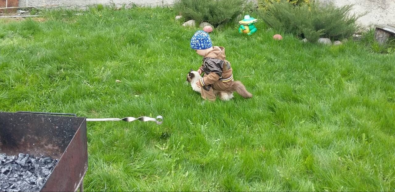 Only the cat and I will go across the field. - My, Children, cat, Figure skating, , Napoleon, Lone Ranger