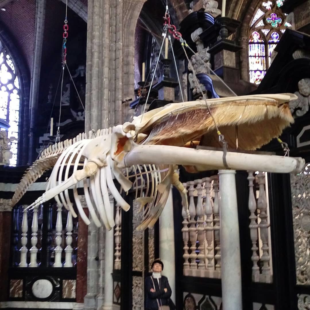 whale in the cathedral - My, Travels, Art, faith, Longpost