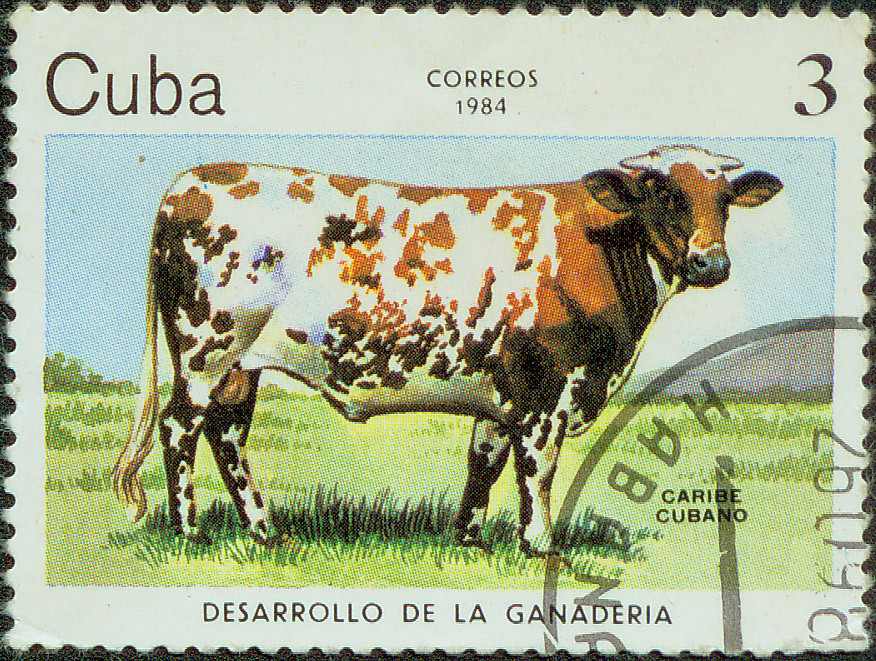 random geography. Part 30. Cuba. - Geography, Interesting, Travels, Random geography, Longpost, Cuba