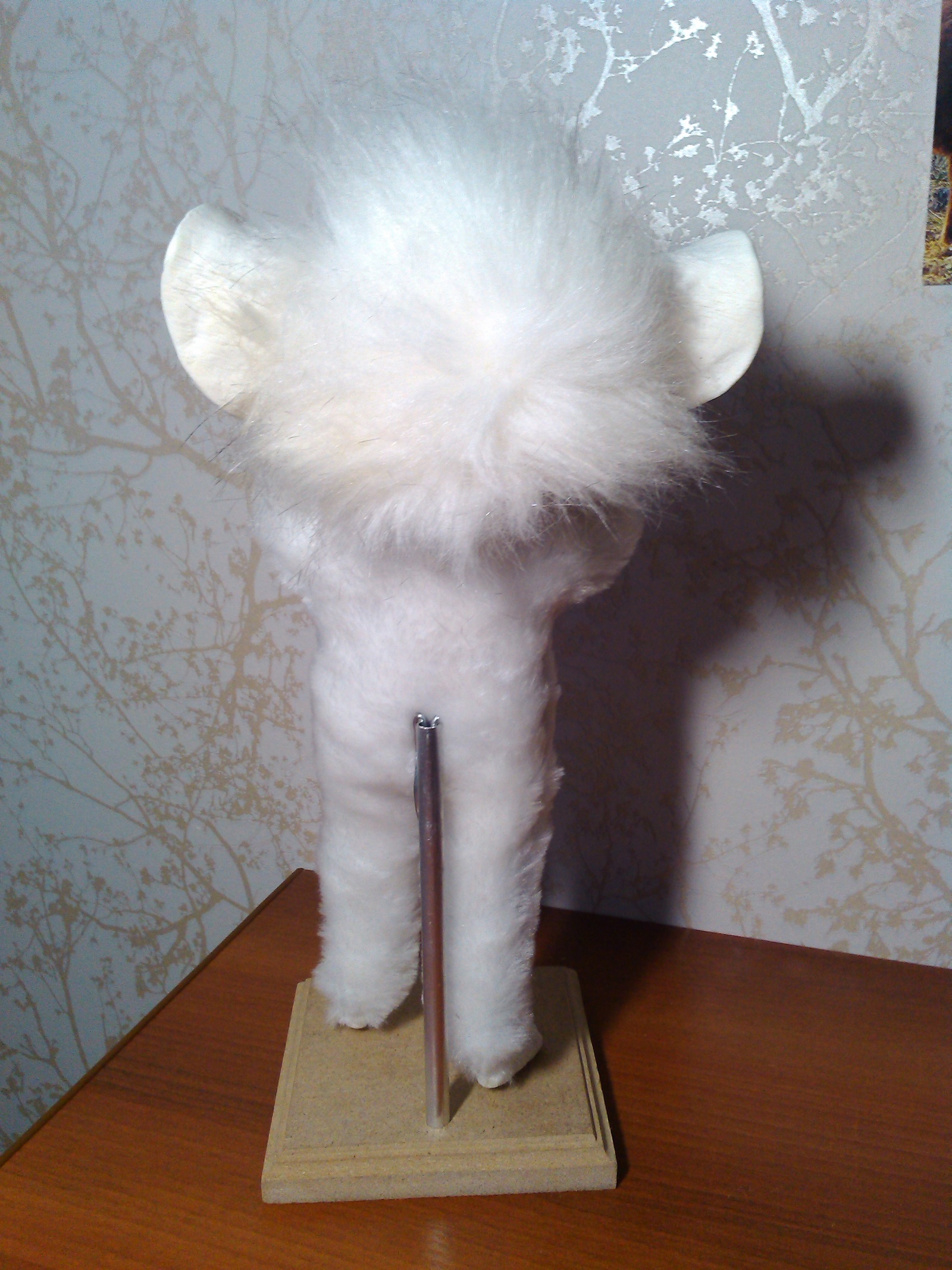 White-footed miracle :3 - My, Doll, Needlework without process, Creation, Mixed media, Longpost