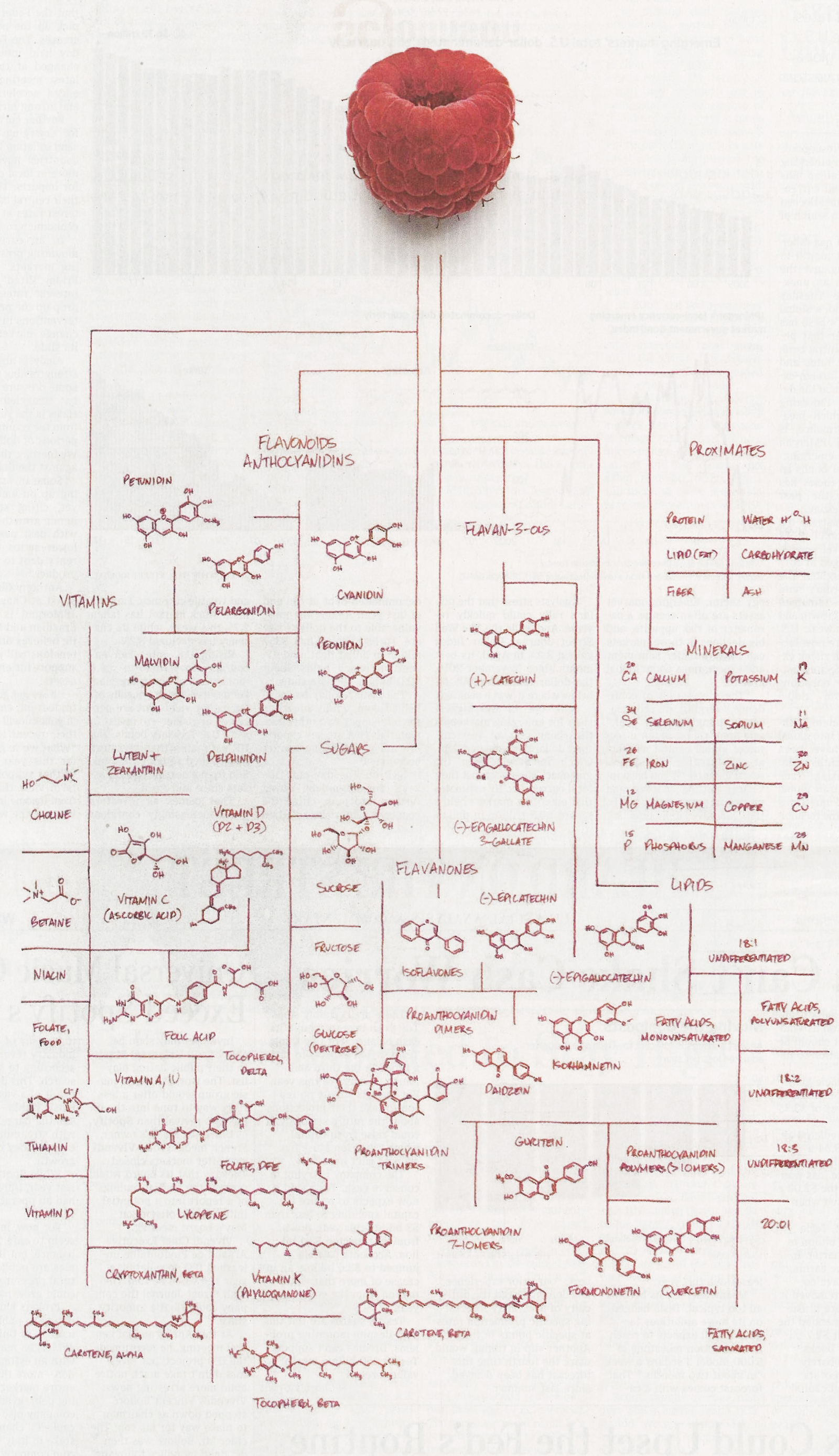 Classification of substances contained in raspberries - Chemistry, League of chemists, Reddit, Organic, Raspberries, Compound