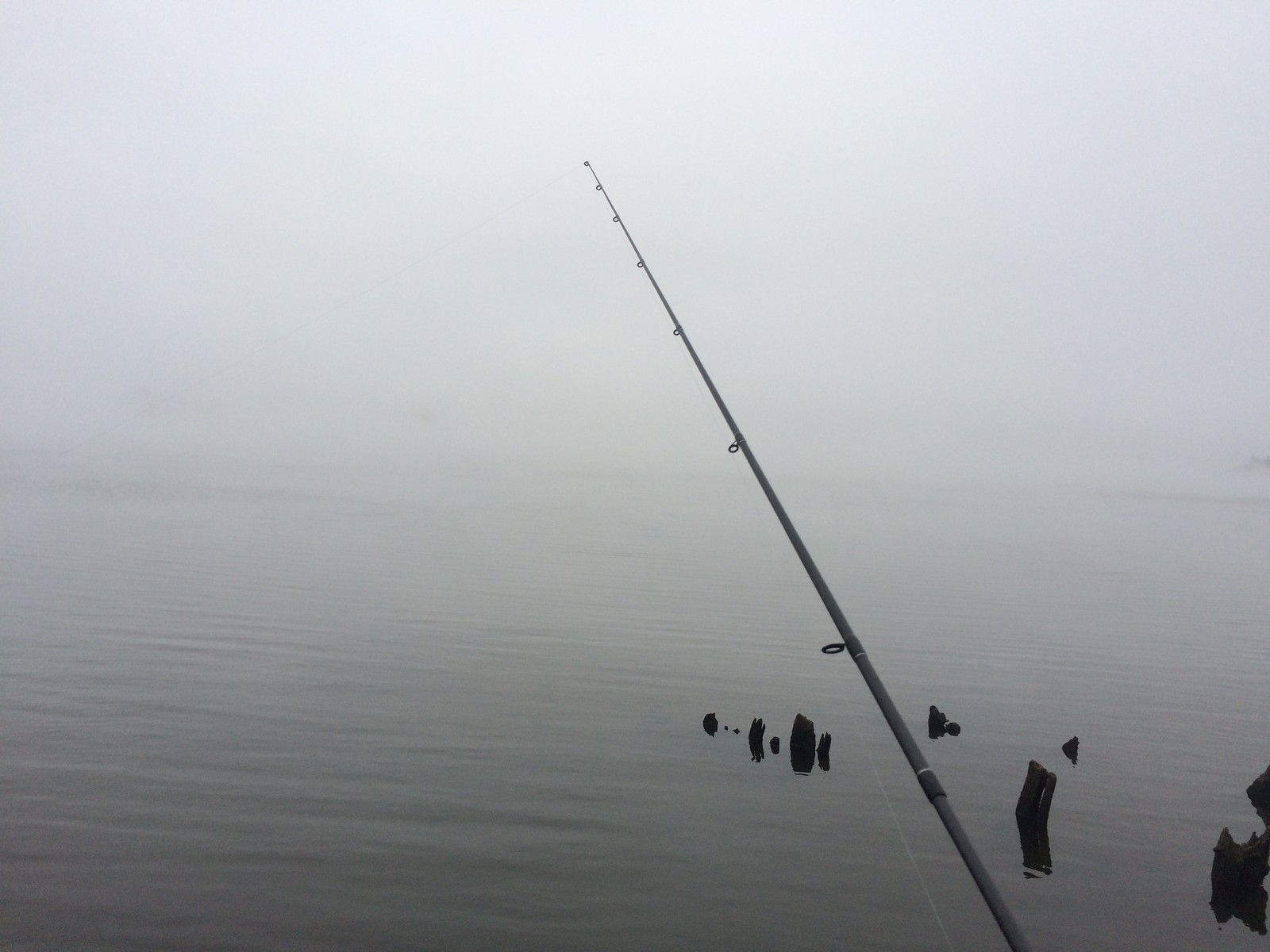 The beauty of the Tver region - My, Fishing, Tver, Nature, beauty of nature, Tver region, , , Longpost