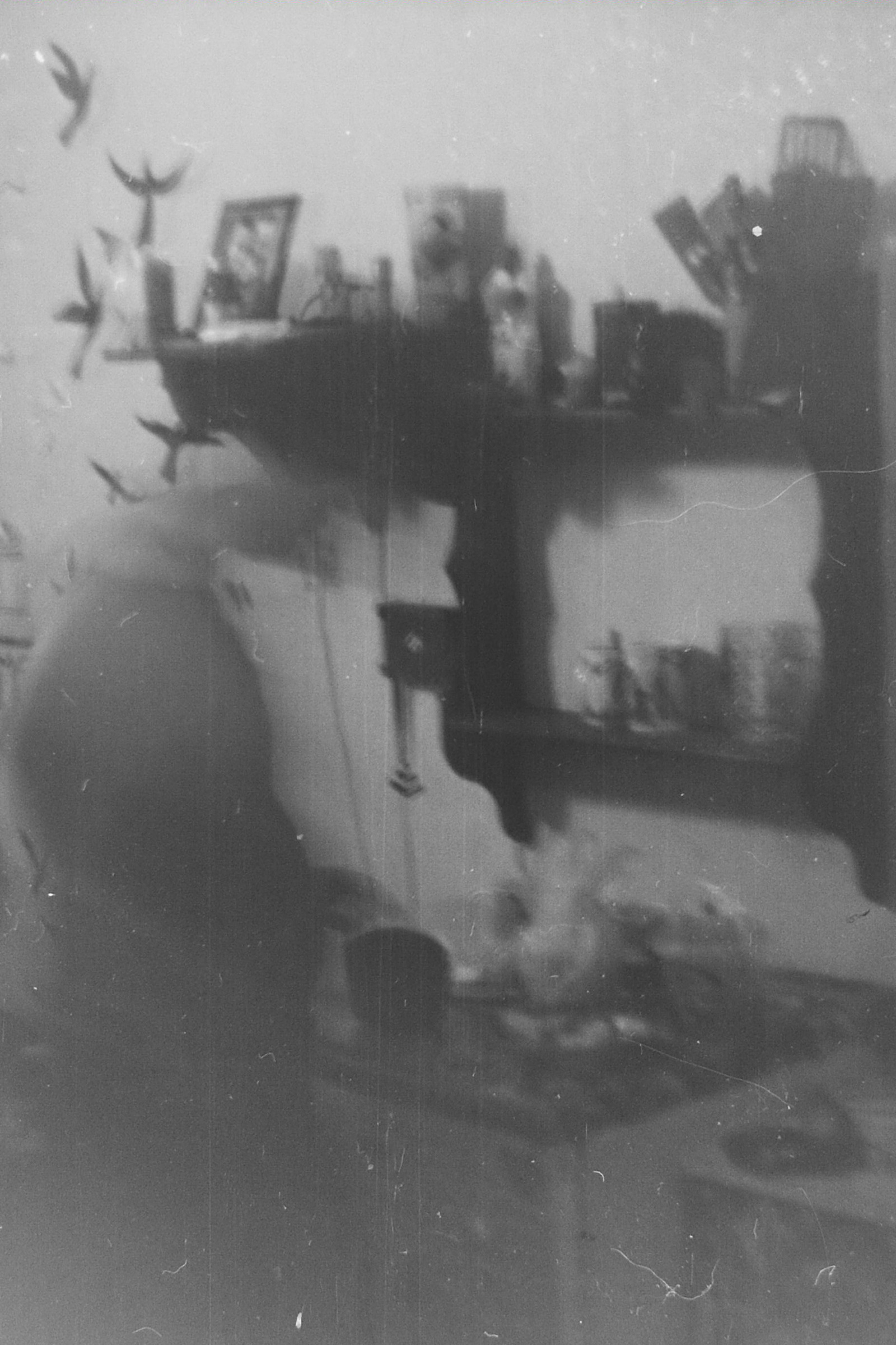 I decided to take a picture on film number 3: Black and white film. - My, Zenith, Zenit 11, Film, camera roll, Longpost