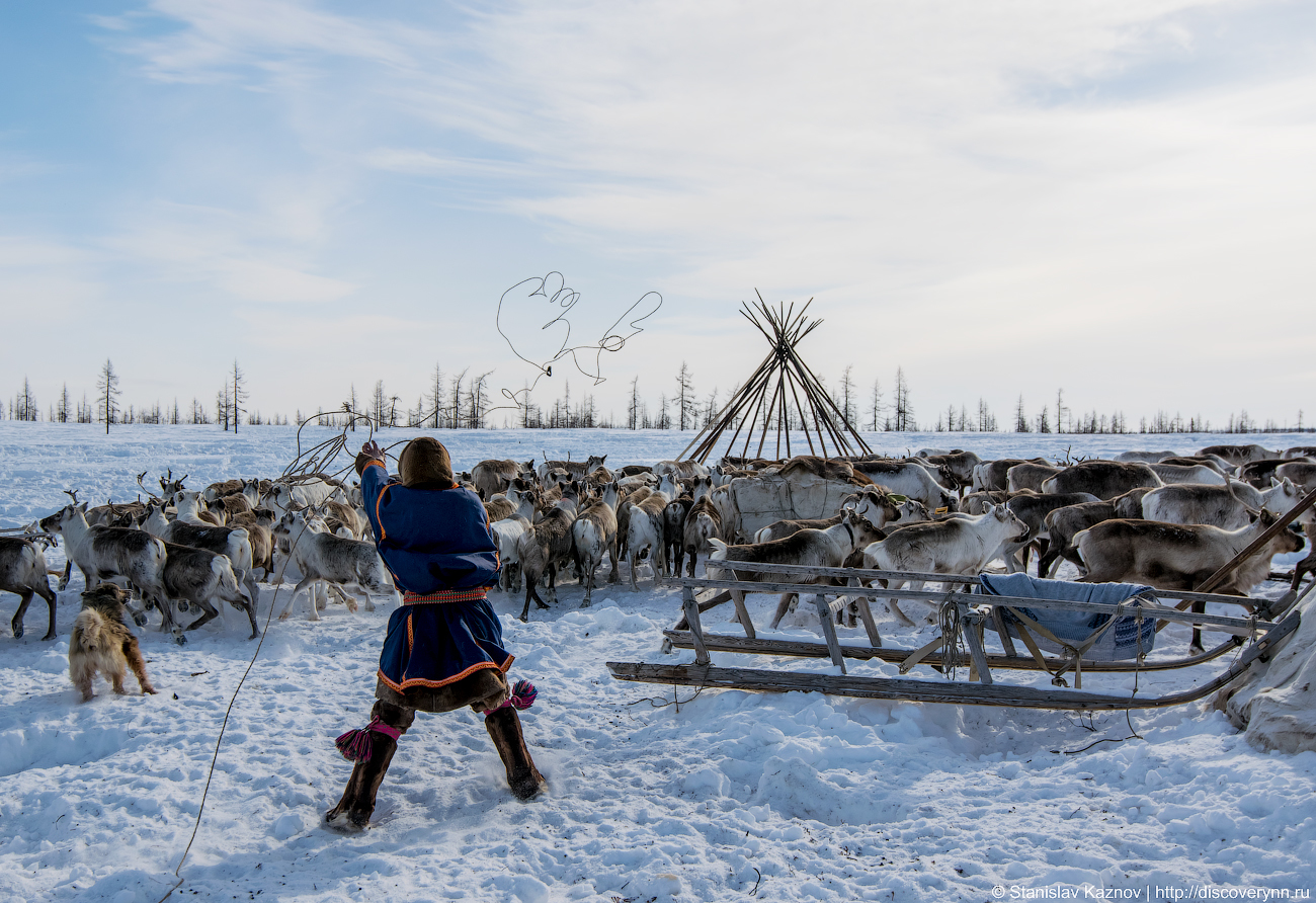 Yamal, beautiful and unforgettable... We will definitely be back! - My, Yamal, Salekhard, Photo tour, Travel across Russia, Longpost