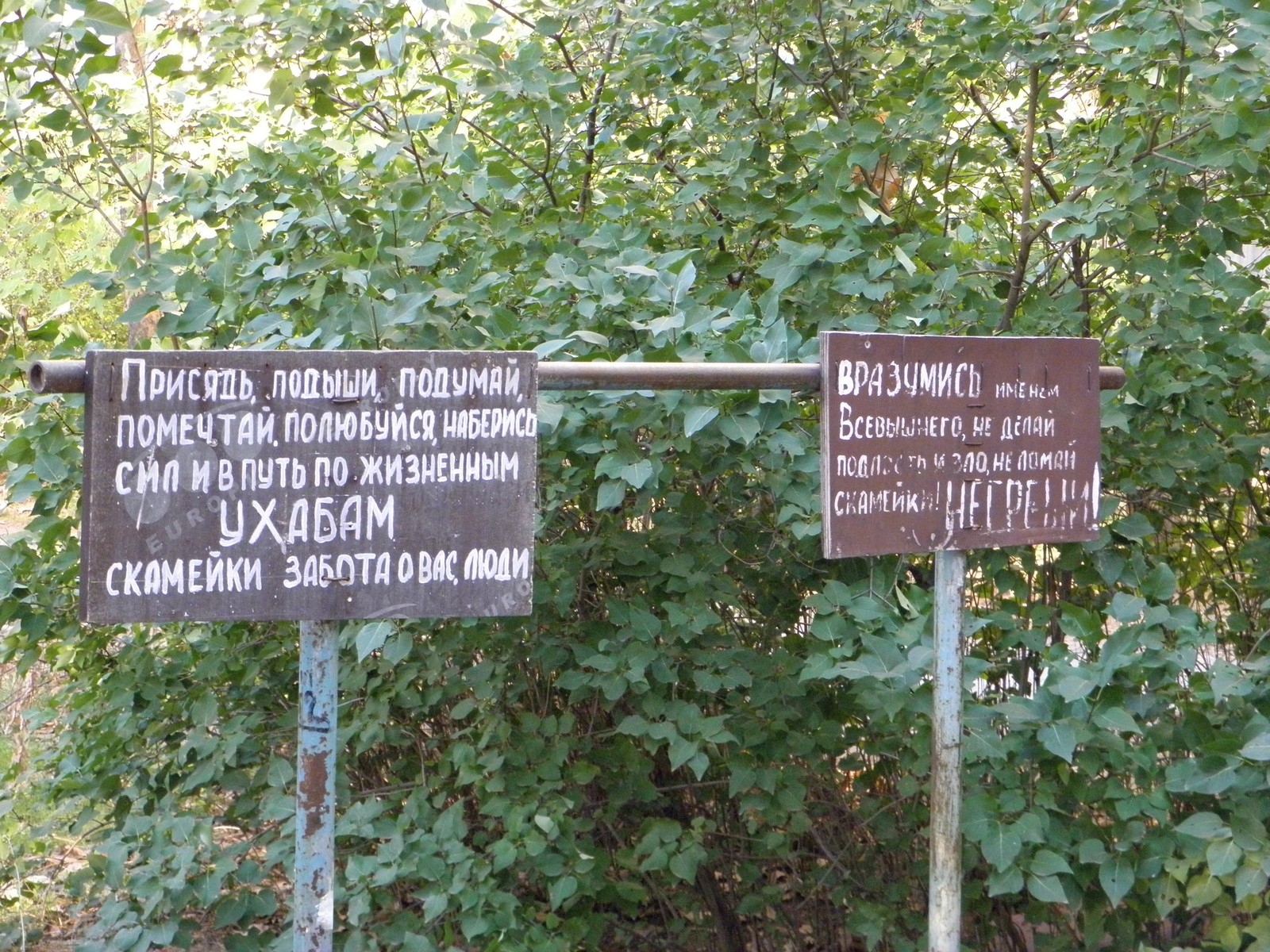 Signs above the bench in Sevastopol - My, Benches, Sevastopol, Inscription