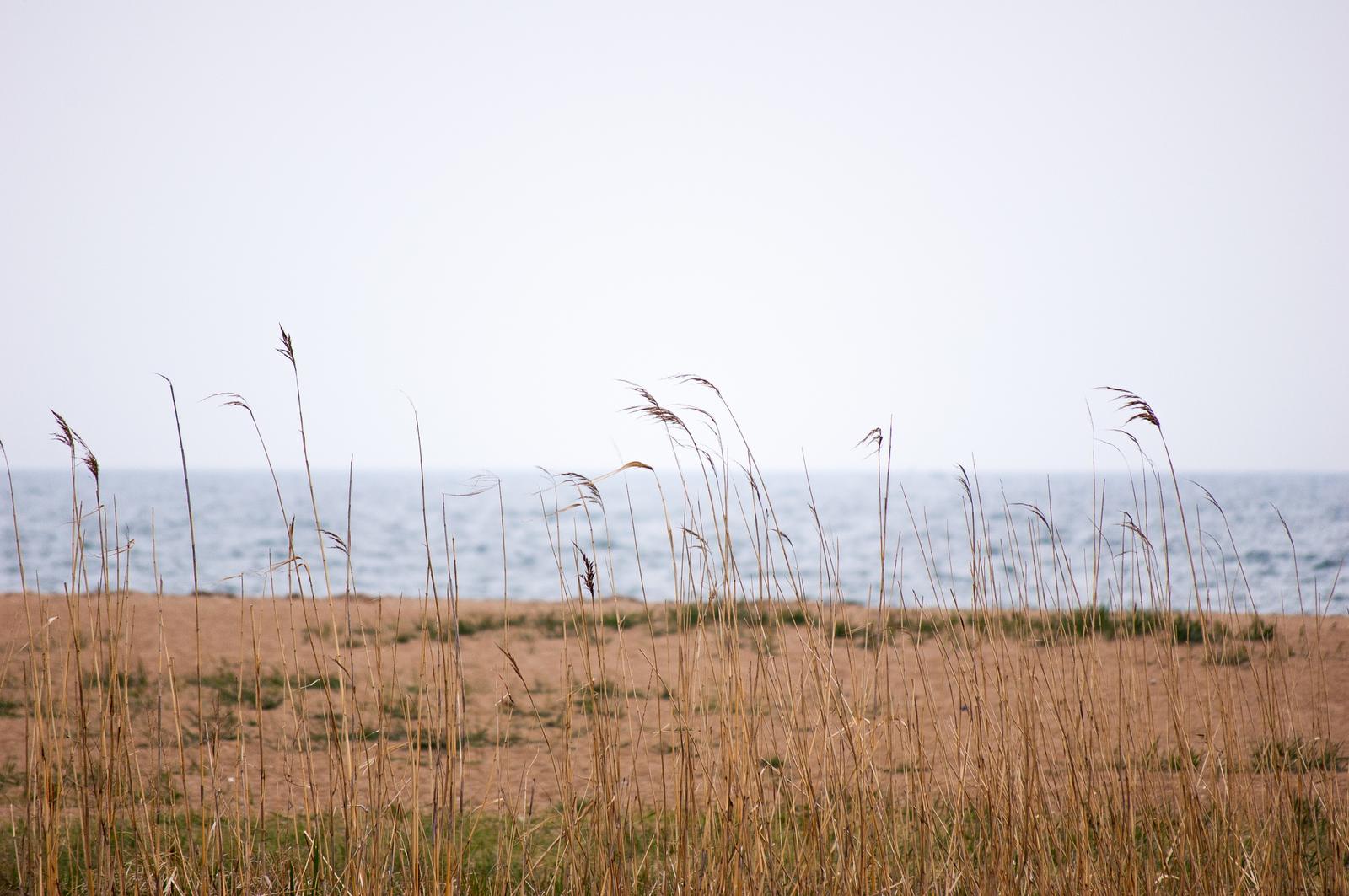 By the sea - My, Nikon D40, Sea, Дальний Восток, Beginning photographer, Nature, Landscape, Longpost