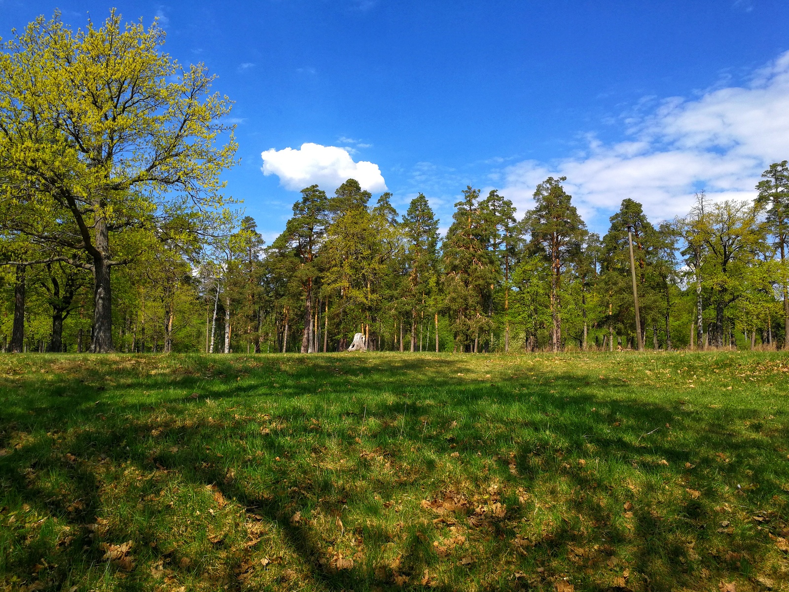 Mini bike ride - My, Longpost, Nature, The photo, Dzerzhinsk, Canon, Huawei mate 9