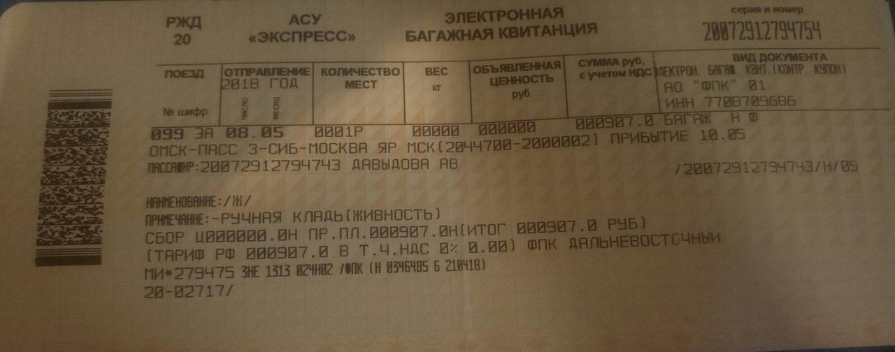 On a trip with a dog - My, Dog, Relocation, A train, Travel in Russia, Personal experience, Longpost