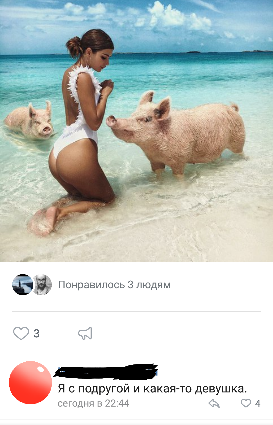 Pigs do not complex) - , Sea, PHOTOSESSION, Pig, Bathing