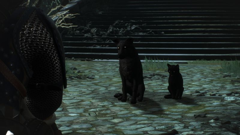 Black cat and black dog from The Witcher - Witcher, The Witcher 3: Wild Hunt, Black cat, , Longpost, Dog, cat