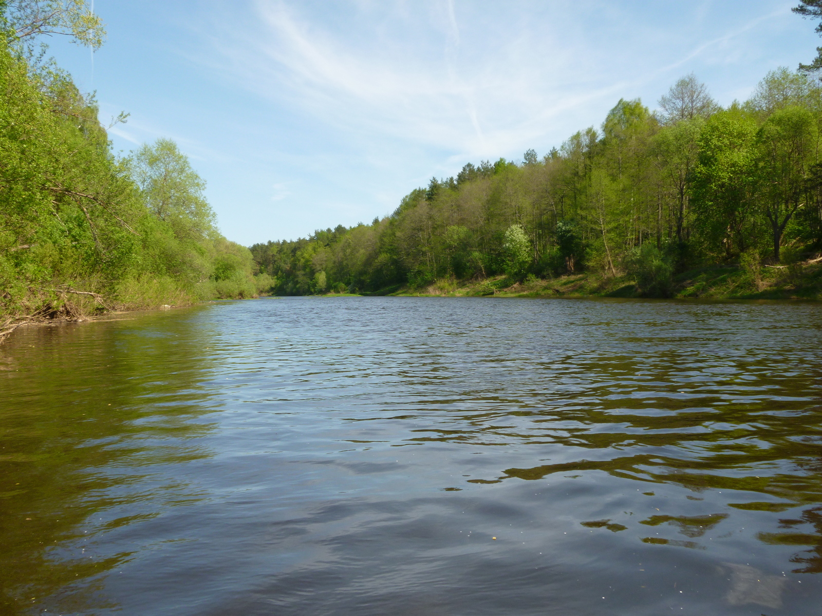 May fishing - My, Fishing, Chub, Longpost