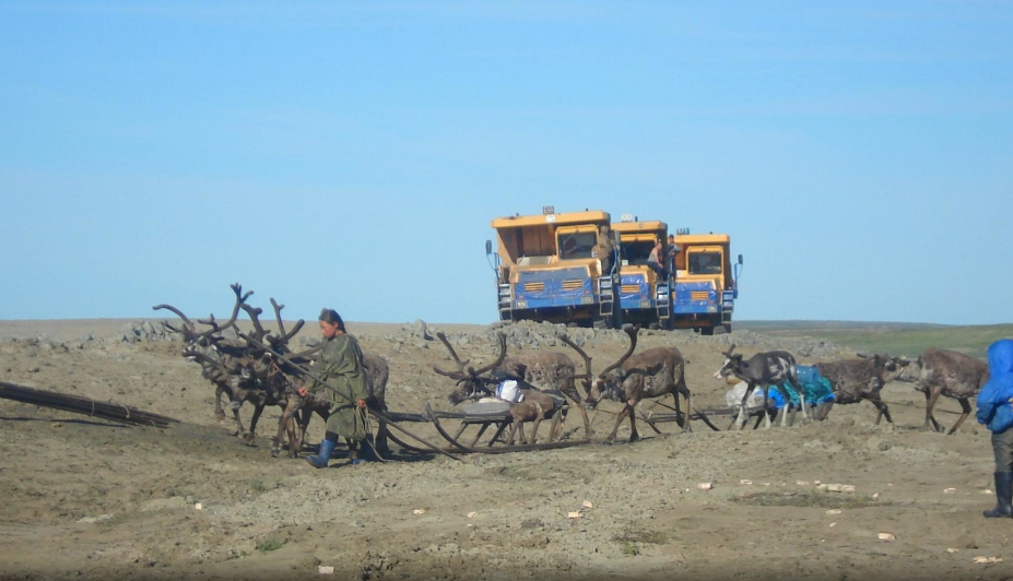 BelAZ trucks in Yamal. - BelAZ, , Yamal, The photo, Team