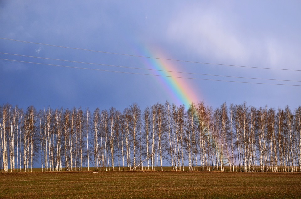 Rainbow - Rainbow, The photo