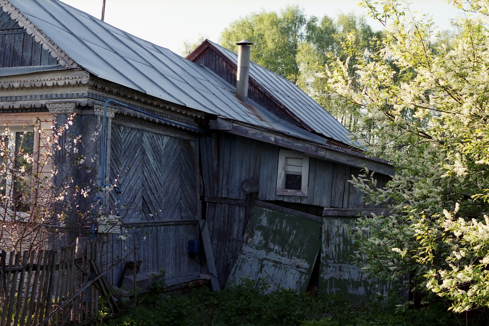 country tranquility - My, The photo, The film did not die, camera roll, 35mm, Dacha, May, Longpost