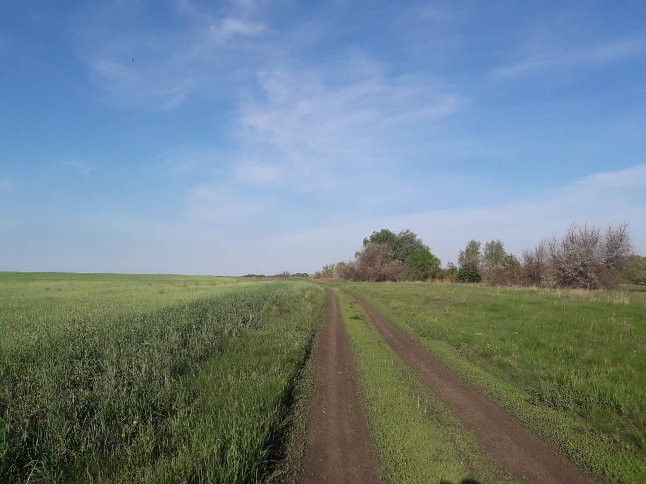 Weekend hike. Saratov region Krasnoarmeisky district. - My, Weekend travel, Saratov region, Krasnoarmeysky District, Longpost