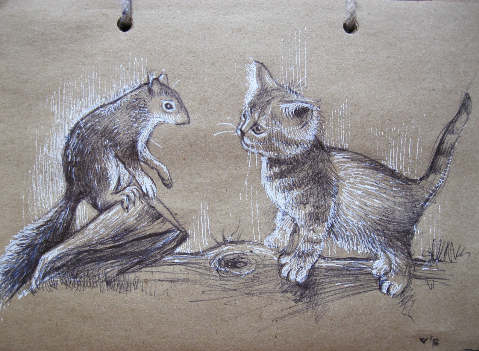 Sketch by photo - My, My, Sketch, Drawing, Graphics, cat, Squirrel, Animals