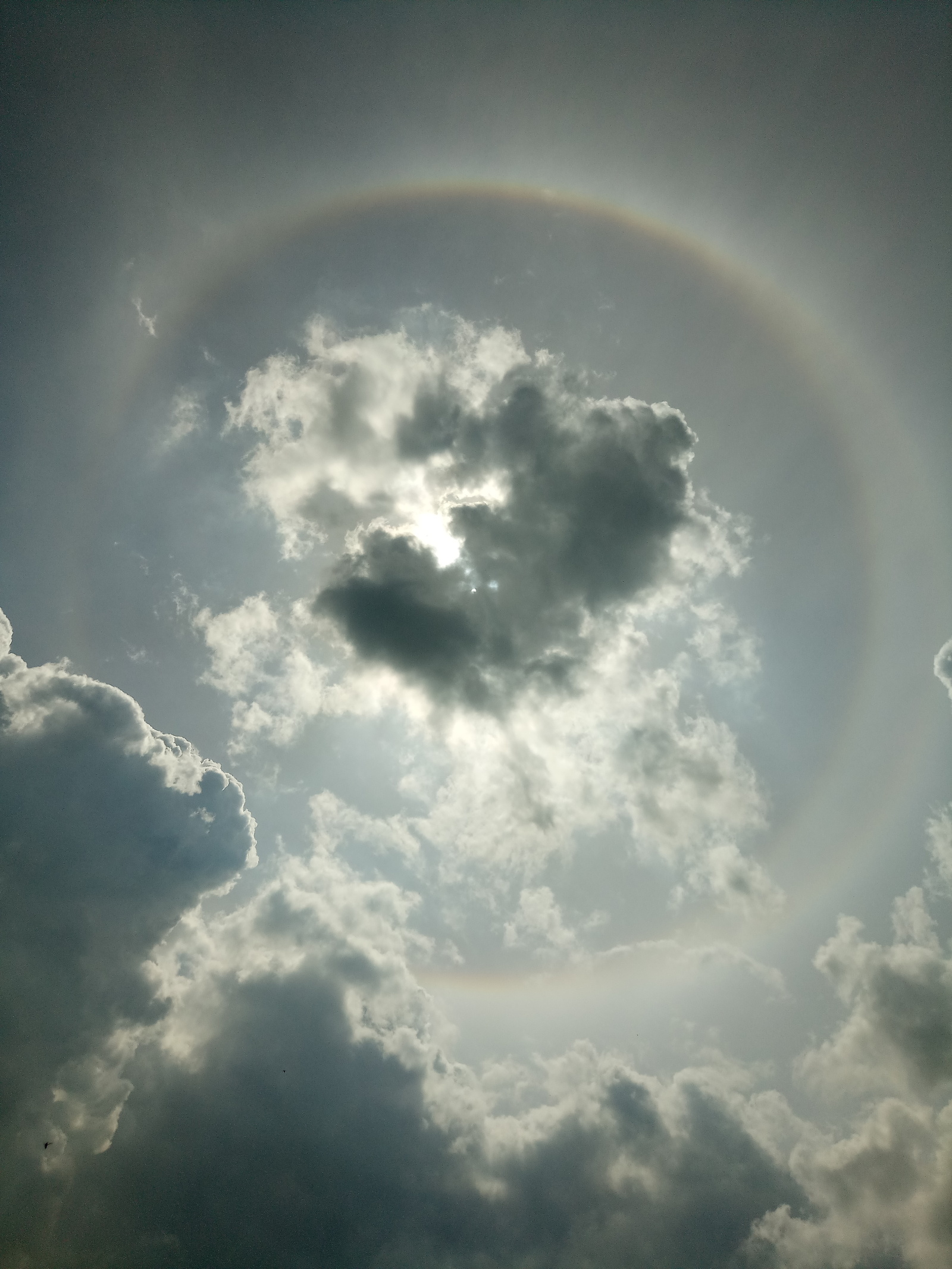 ring rainbow - My, , The photo, Sky, Longpost