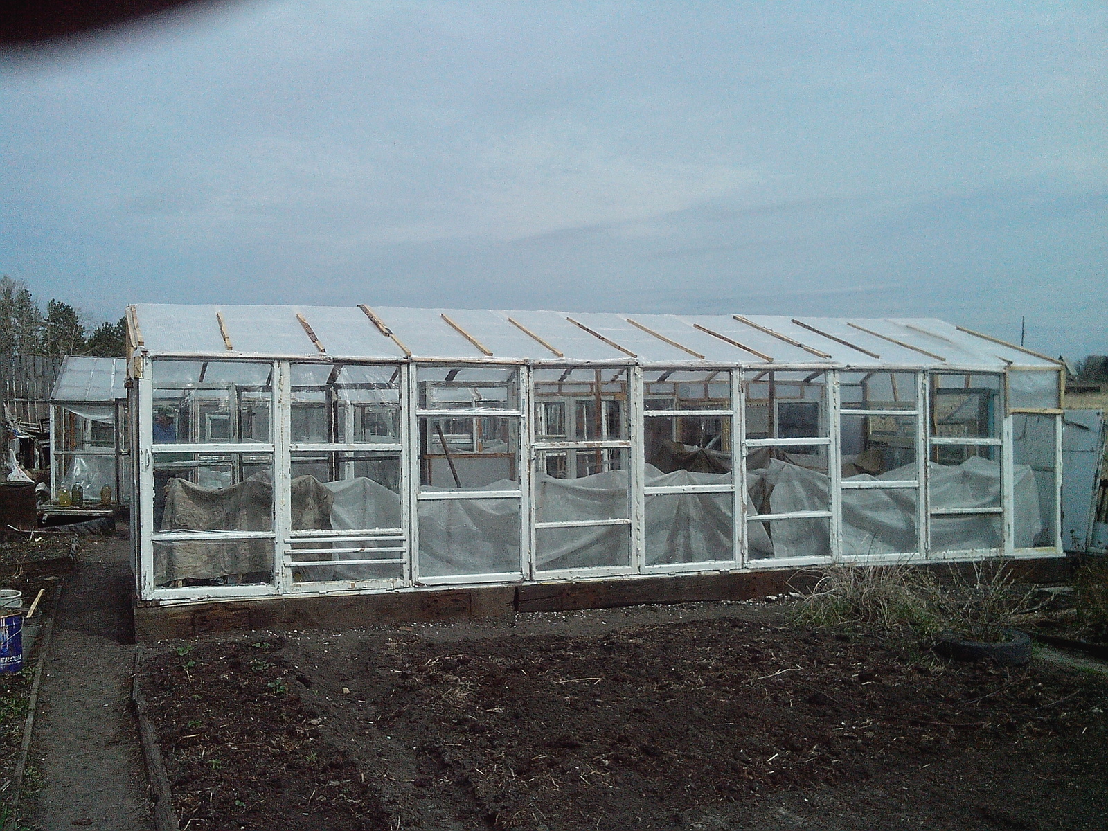 Ural, farmer (where are you my sunshine) - My, Garden, Greenhouse, Longpost