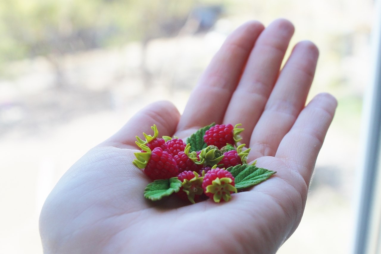 Who has raspberries? I have!) Mine, polymeric) - My, The hobbit, Polymer clay, Crunch, Longpost