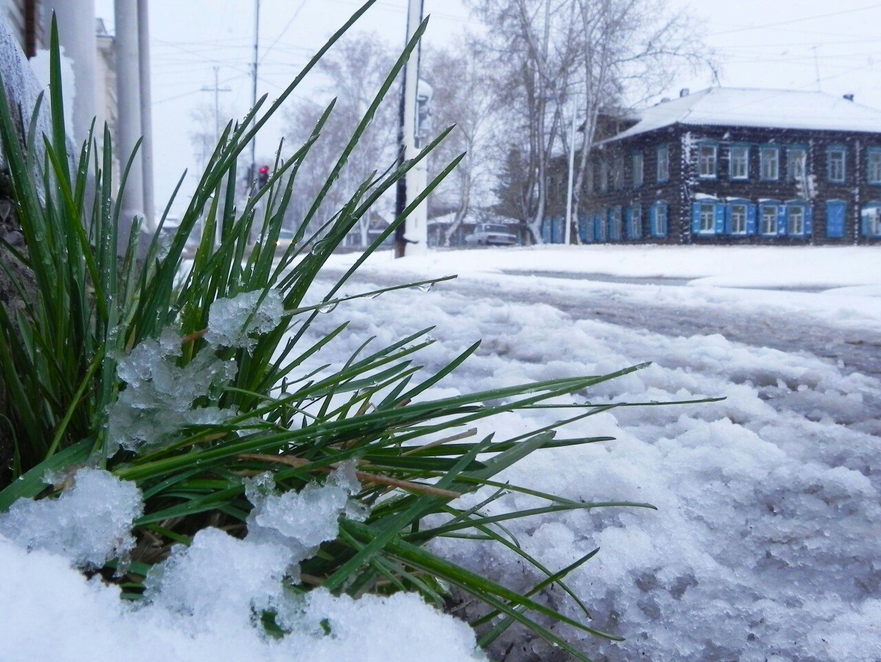 Snow in May - My, Oddities, Siberia, Krasnoyarsk region, Longpost, Snow