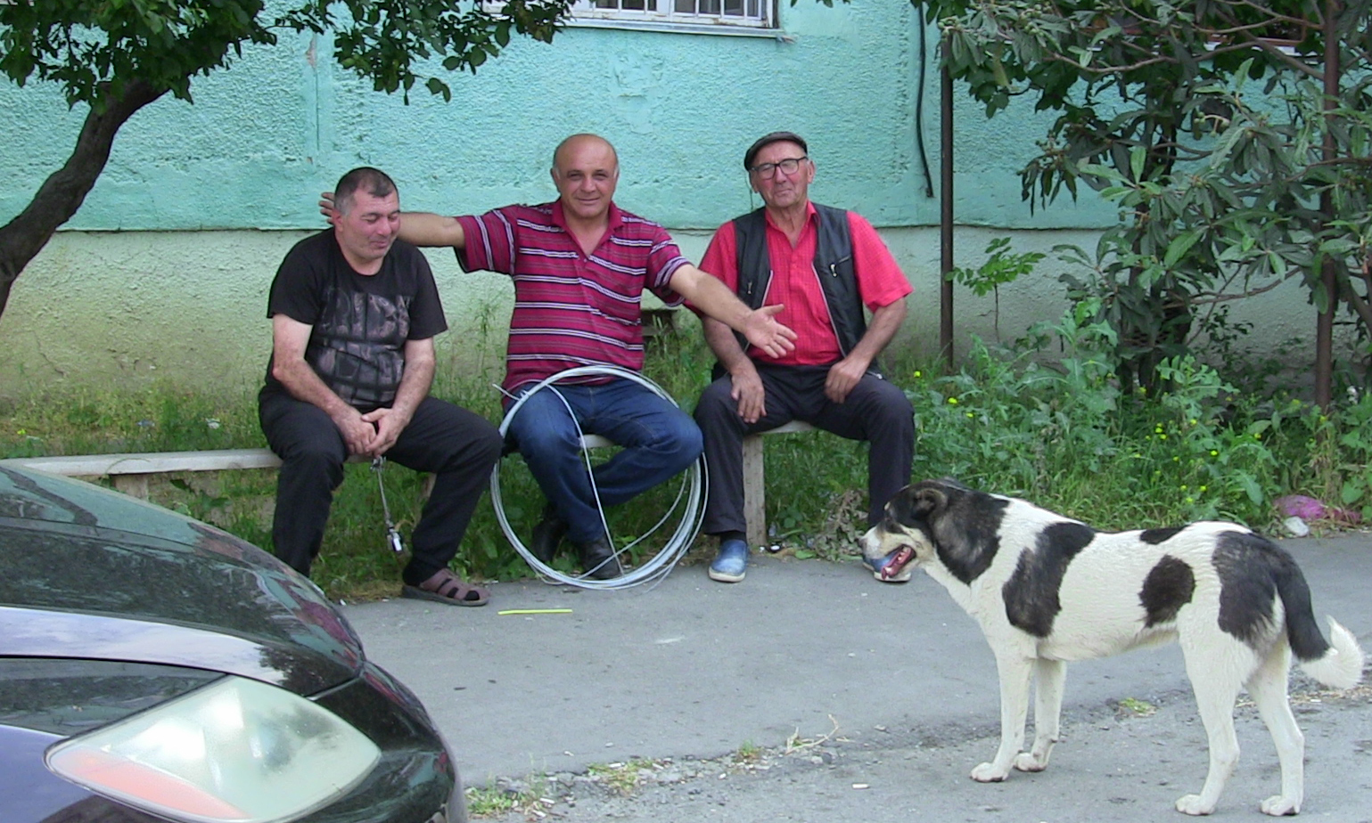 Some men and a dog - My, Some, Men, Dog, The photo, Waste of time