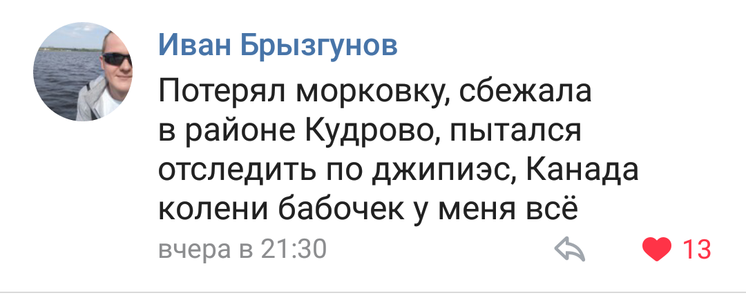 Морковка против самолёта в Кудрово. - Кудрово, Санкт-Петербург, Комментарии, ВКонтакте, Недопонимание, Длиннопост