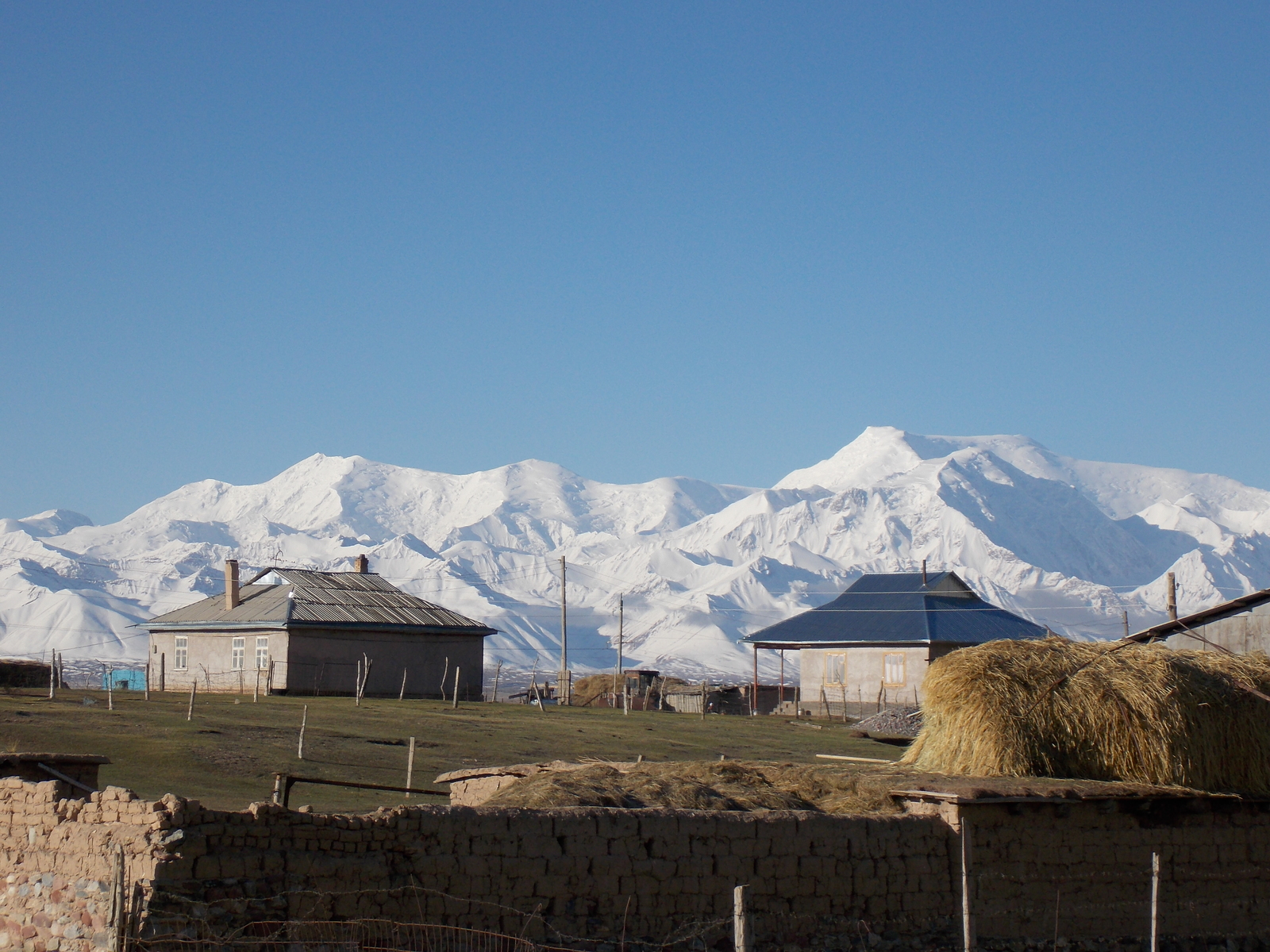 киргизия каракуль