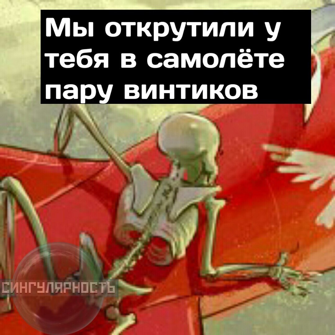 Skeletons and plane - My, VK group, Comics, Humor, Longpost, Singularity comics, Skeleton, Airplane, Public