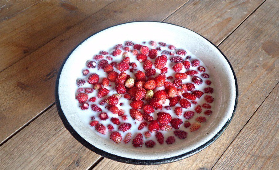 berry - Cooking, Advice, Berries, Strawberry, Summer, Milk, Longpost, Recipe, Strawberry (plant)