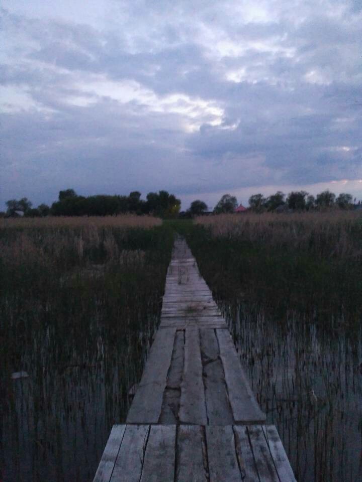 Summer is coming - My, My, Village, Fishing, Nature, Silence, Longpost