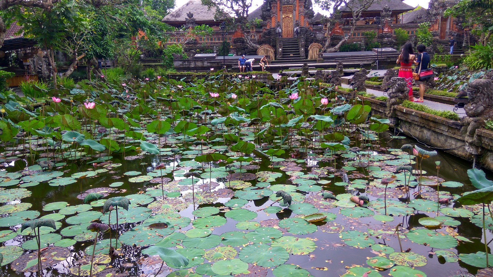 Lotus Temple - My, Lotus, Temple, Bali, Nature, beauty, Longpost